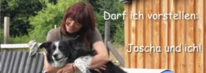 Logo Hundeschule Stolk