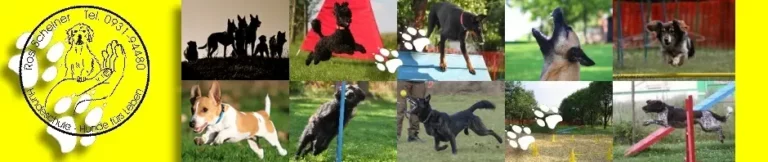 Hundeschule Würzburg - hundeschule wuerzburg logo