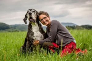 Logo Gittes Hundetraining Bergstraße