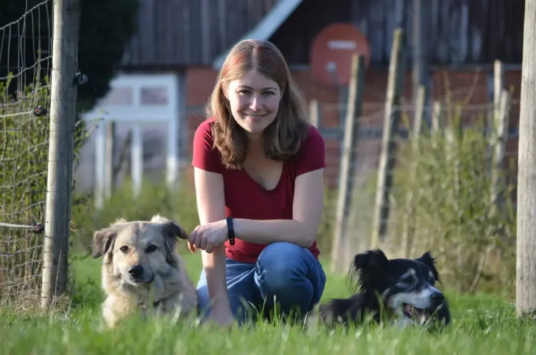 Hundetraining Denise Heimann - hundetraining denise heimann image