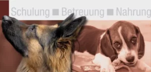 Logo Kitzdog – Christian Schlatter