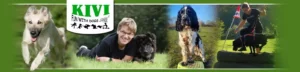 Logo KIVI – FUN WITH DOGS