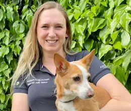 neuhaus.tierärzte.team - klinik neuhaus Julia Nebes