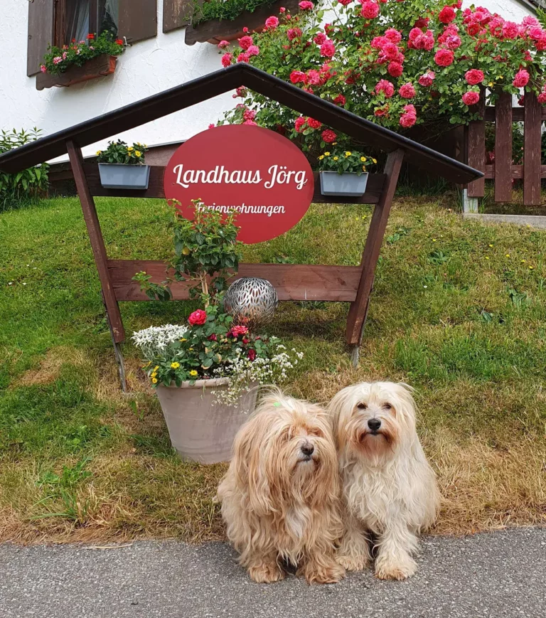 Landhaus Jörg - landhaus joerg hunde vor hofschild