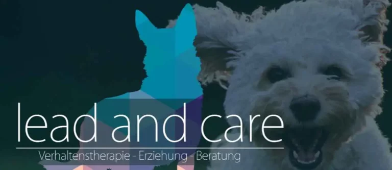 lead and care - lead care logo