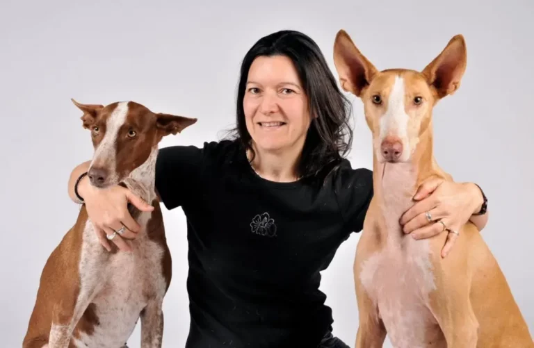 Marions Mobile Hundeschule - marions mobile hundeschule
