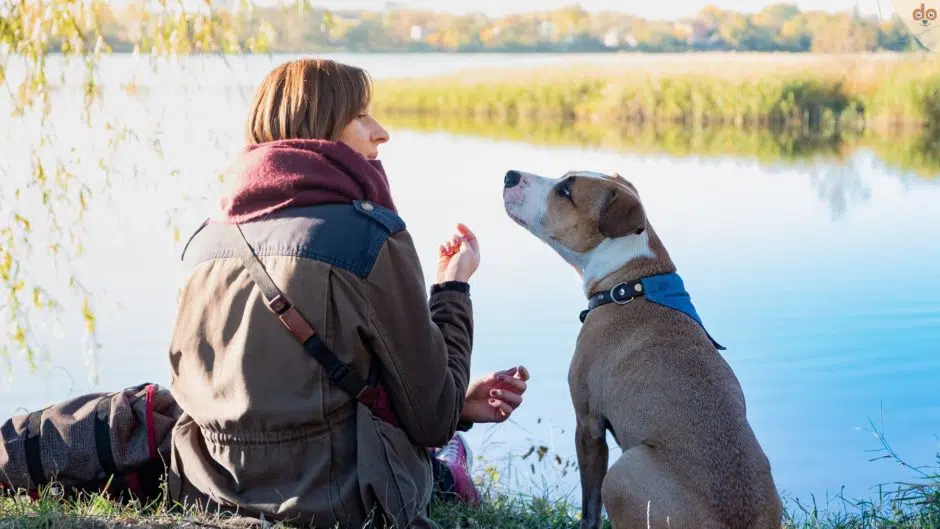 Frauchen mit Hund am See und sprechen zusammen