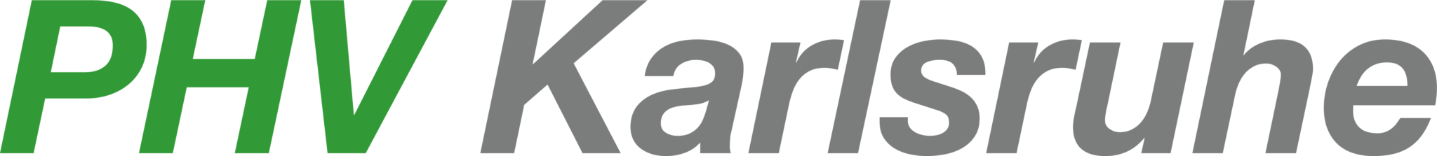 phv-karlsruhe-logo