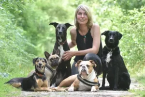 Logo Prima Hunde