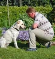RMH Robbis Mensch-Hundeberatung - rmh robbis header