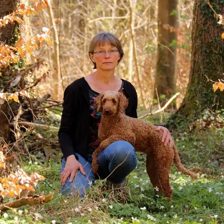 Angelika Prinz - rundumhund ostalb header