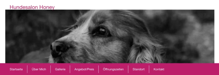 Hundesalon Honey - screenshot hundesalon honey