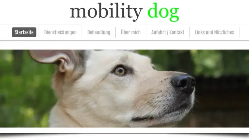 Mobility