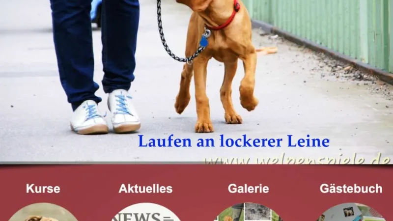 Acky’s Prägungsspieltage Hundeausbildung Bartmann