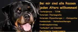 Logo Socanis Tierphysiotherapie