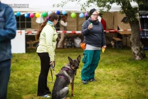 Logo Hundeschule Tiertraining