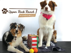 Logo Upper Rock Ranch Hundwelt