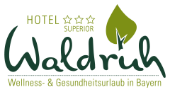 waldruh-ico-logo