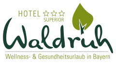 Kur- und Wellnesshotel Waldruh - waldruh ico logo
