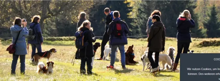Hundeschule Zamperltreff - zamperltreff