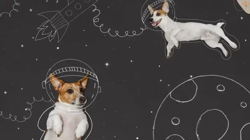 Hunde im Weltall: Tierische Berühmtheiten mit Liste und Filmtipps