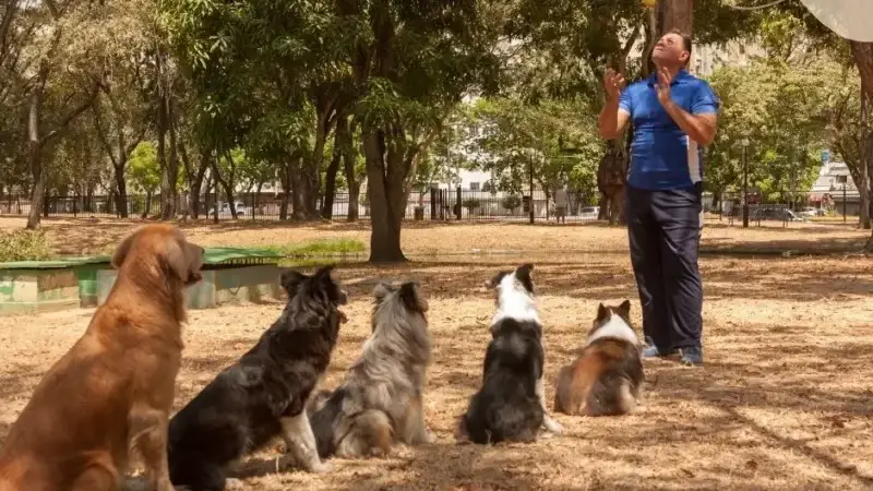 Was machen Therapiehunde?