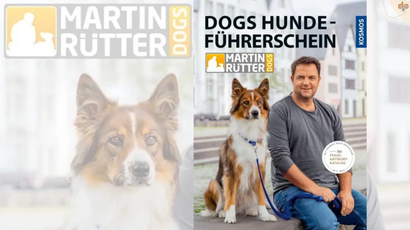 Buchempfehlung: „DOGS Hundeführerschein: Mit Frage-Antwort-Katalog“