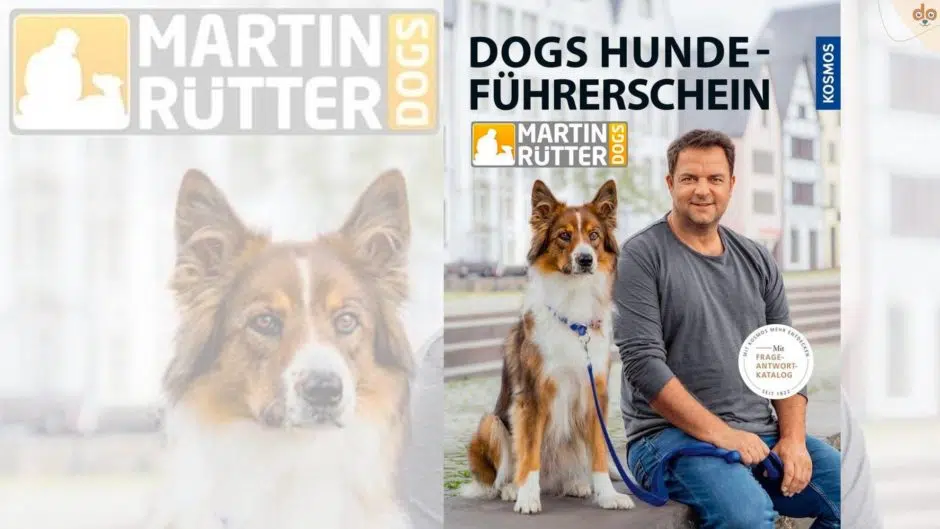 DOGS Hundeführerschein: Mit Frage-Antwort-Katalog