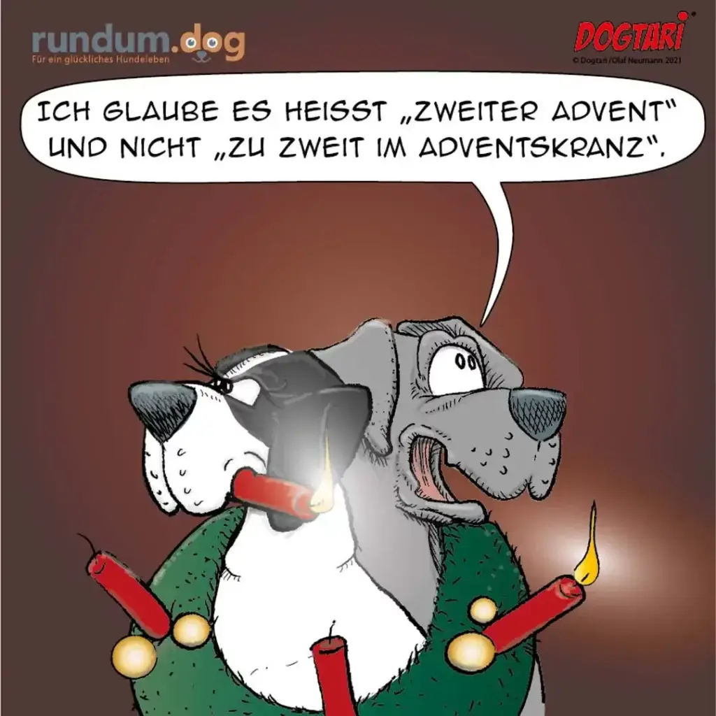Zwei Hunde sitzen vor einem Adventskranz mit brennenden Kerzen, einer hält eine rote Kerze im Maul und spricht
