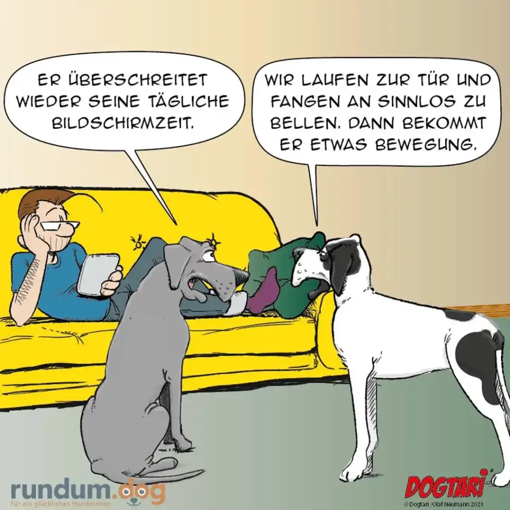 Halter sitzt auf gelbem Sofa mit Tablet, grauer Hund schaut ihn an, weisser Hund neben ihm. Sprechblasen zeigen Dialog.