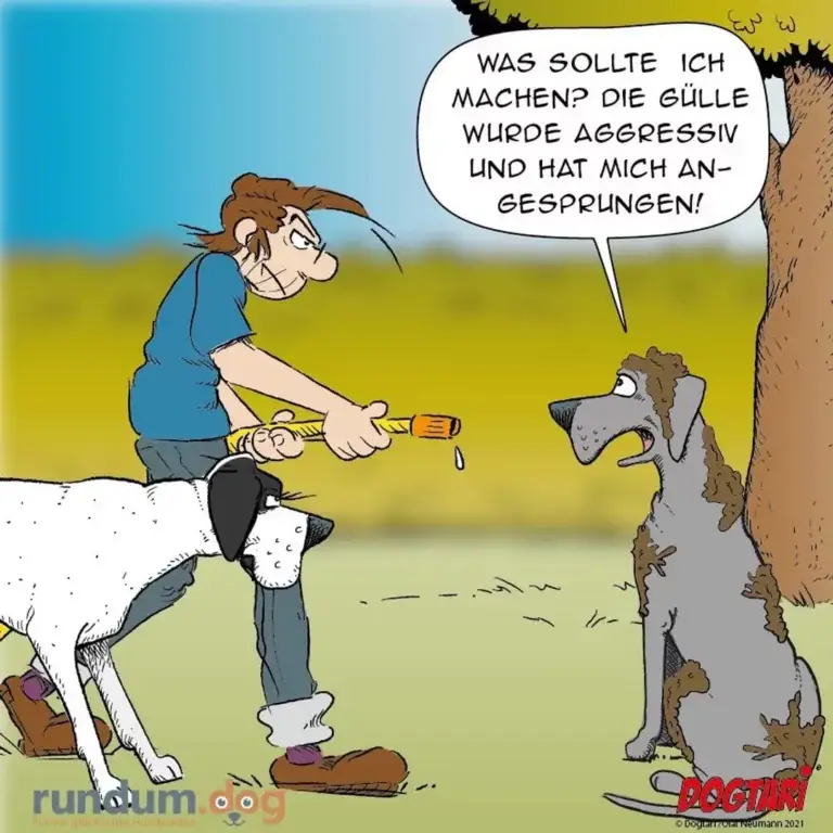 Mann mit Pinsel und Farbtopf steht vor schmutzigem Hund und sagt: Was sollte ich machen? Die Gülle würde aggressiv und hat mich angespruchen!