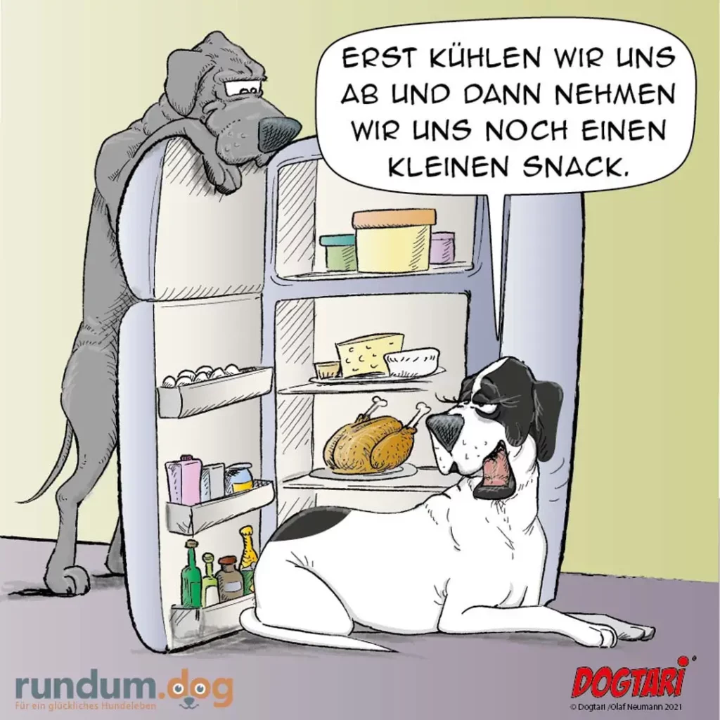 Grosser Hund steht auf Hinterbeinen vor offenem Kühlschrank, kleiner Hund sitzt davor, beide schauen auf Essensvorräte