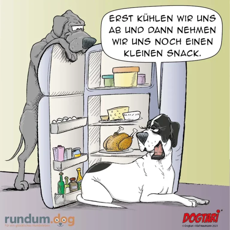 Grosser Hund steht auf Hinterbeinen vor offenem Kühlschrank, kleiner Hund sitzt davor, beide schauen auf Essensvorräte