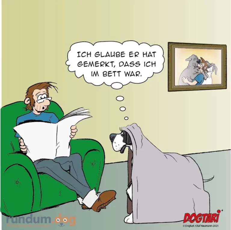 Mann sitzt im grünen Sessel mit Zeitung, Hund unter Decke daneben schaut ihn an. Gedankenblase: Ich glaube er hat gemerkt, dass ich im Bett war.