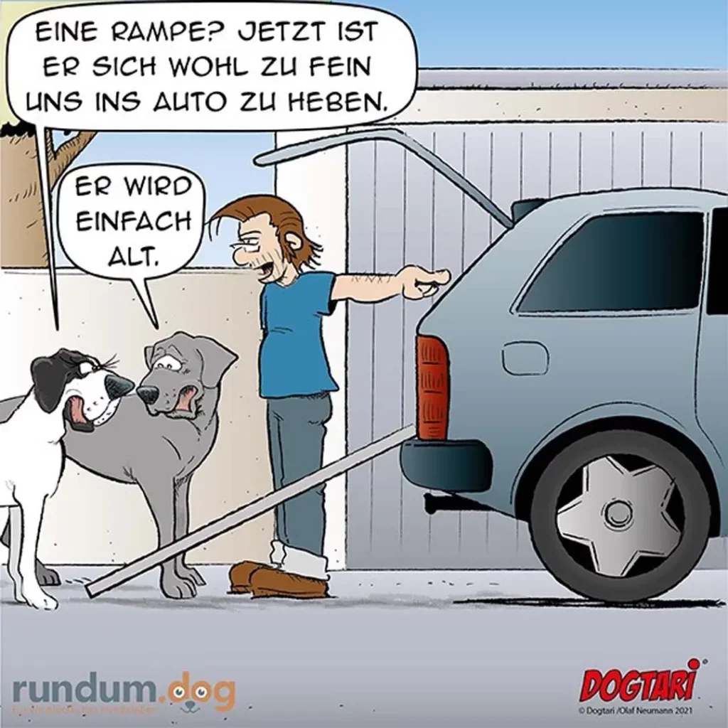 Zwei Hunde vor einem Auto: Der eine sagt begeistert zur Frau, die andere sieht den Hund skeptisch an und antwortet trocken.