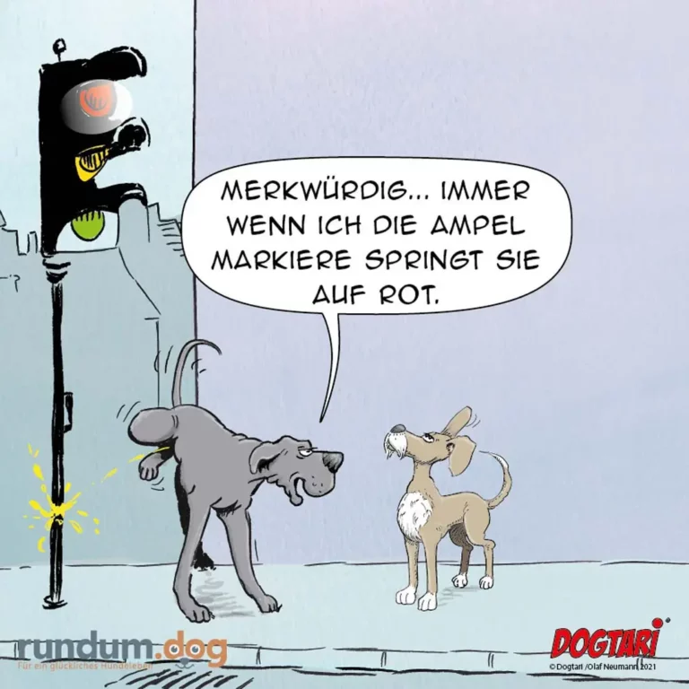 Grosser Hund an Ampel sieht rote Markierungen auf Boden, kleiner Hund daneben schaut zu