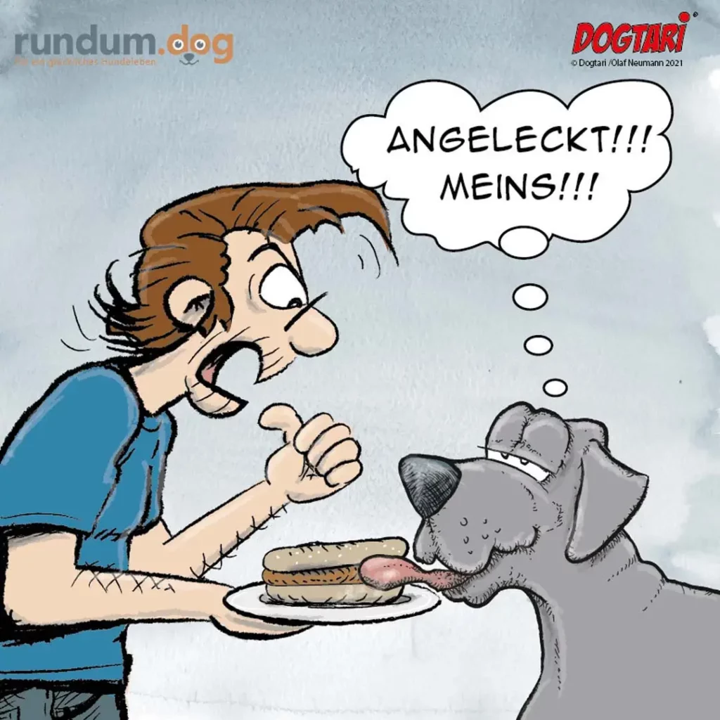 Halter hält Hund ein Sandwich hin, Hund leckt sich die Lippen und denkt laut: Angeleckt! Meins!!!