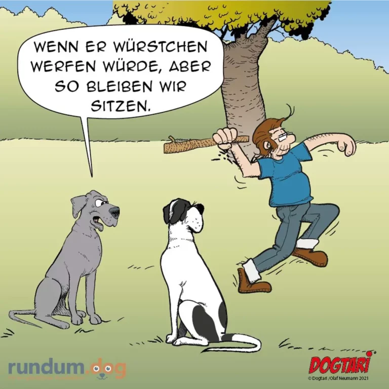 Halter mit Ast springt vor zwei sitzenden Hunden auf und ab, ruft «Wenn er würstchen werfen würde, aber so bleiben wir sitzen»