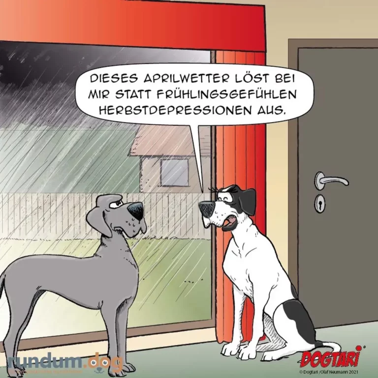 Zwei Hunde im Wohnzimmer: grauer Hund schaut den weiss-schwarzen Hund an, der spricht: «Dieses Aprilwetter löst bei mir statt Frühlingsgefühlen Herbstdepressionen aus.»