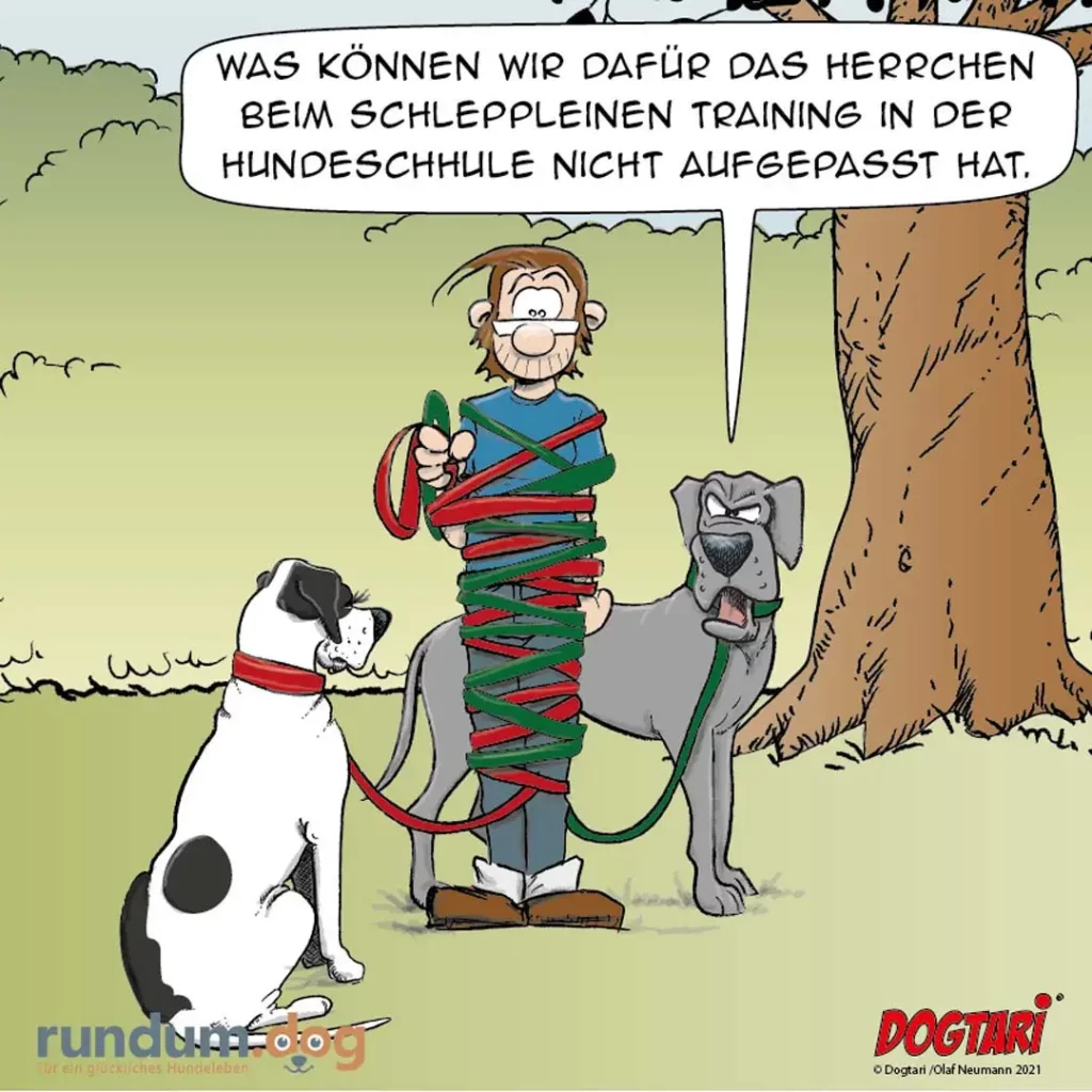 Mann vollständig mit roten und grünen Leinen umwickelt, zwei Hunde halten die Enden in den Zähnen und schauen ihn an