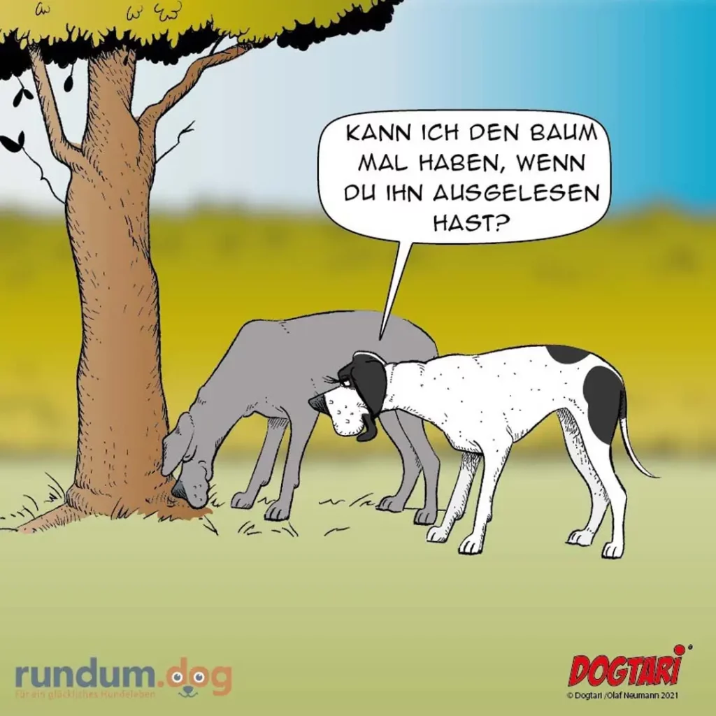 Hund uriniert an Baumstamm, spricht Halter an: «Kann ich den Baum mal haben, wenn du ihn ausgelesen hast?»