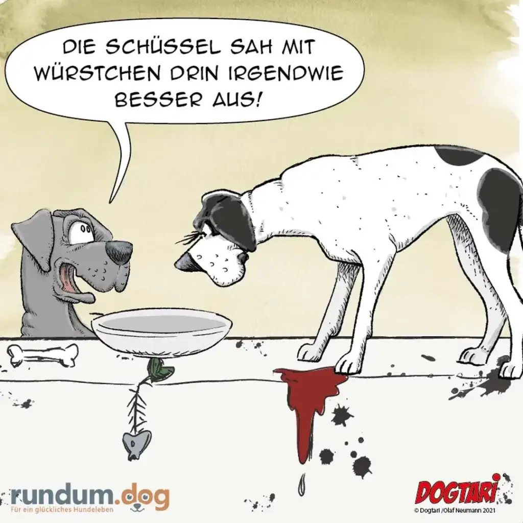 Zwei Hunde beim Fressen: grauer Hund sitzt vor Napf und schaut den weissen Hund an, dieser präsentiert stolz eine Wurst mit Blut, darunter Blutflecken auf dem Boden