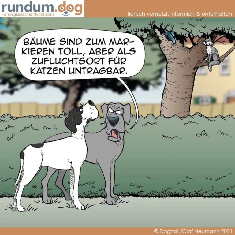 Weisser Hund mit schwarzen Flecken spricht zu grauem Hund unter Baum. Vogel sitzt oben im Geäst.