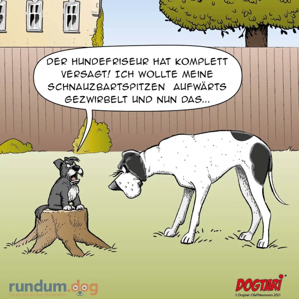 Kleiner Hund auf Baumstumpf beschwert sich gestikulierend, grosser Hund steht daneben und schaut schuldbewusst
