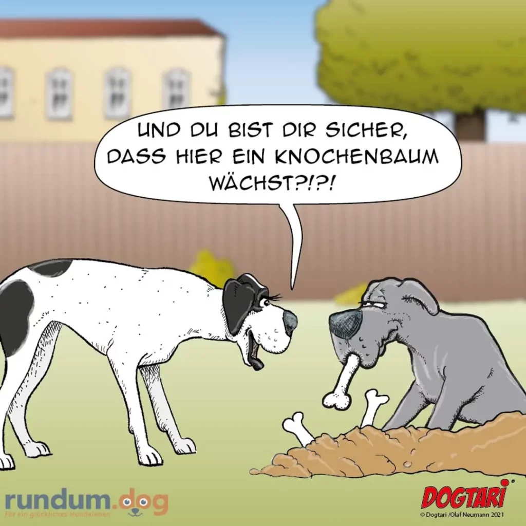 Weisser Hund mit schwarzem Kopf warnt einen grauen Hund vor einem Knochenbaum, mehrere Knochen liegen im Gras