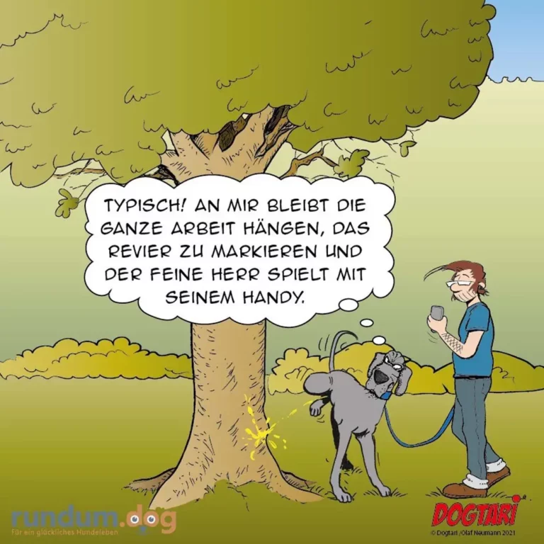 Hund markiert Baum während Halter mit Smartphone daneben steht, Baum spricht in Gedankenblase
