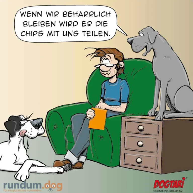 Mann sitzt auf grünem Sofa mit orangem Gerät, zwei Hunde schauen zu – einer vor dem Sofa, einer dahinter auf der Rückenlehne