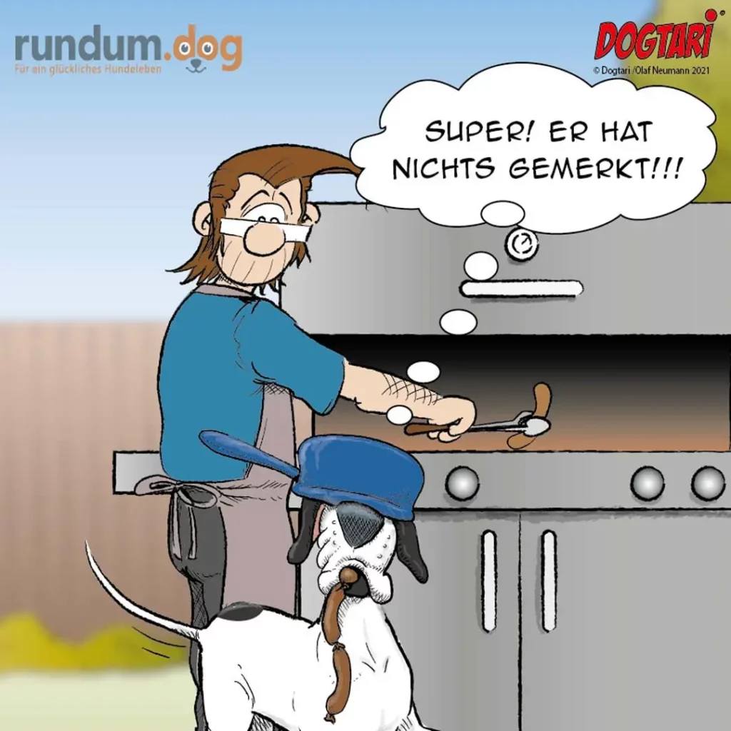 Mann mit Augenbinde sitzt an Waschmaschine, kleiner Hund schaut zu, Mann ruft 'Super! Er hat nichts gemerkt!!!'