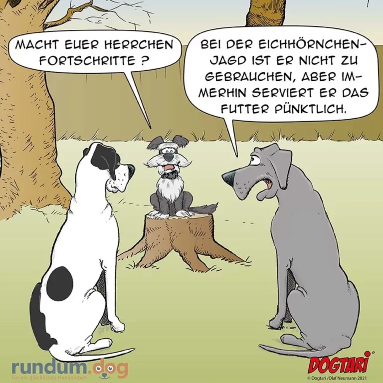 Zwei Hunde sitzen sich gegenüber, dazwischen sitzt ein älterer Hund mit Bart auf einem Baumstumpf und erklärt etwas