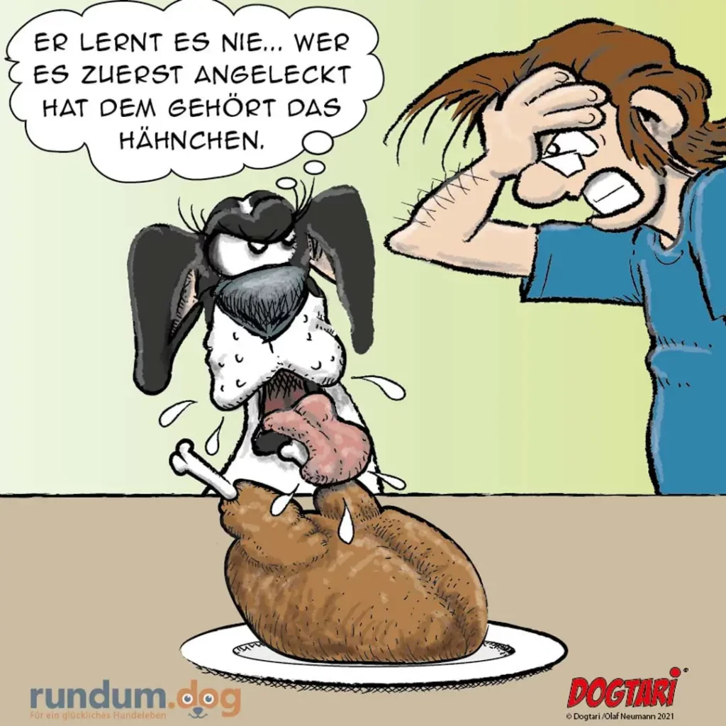 Hund sitzt auf einem Napf mit Fleisch, Knochen und Leckerli verstreut, Halter mit erhobener Hand versucht den Hund zurechtzuweisen